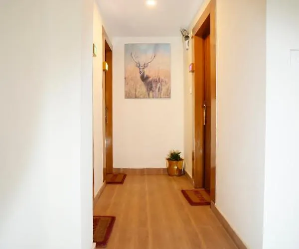 Hotel Satkar And 3*